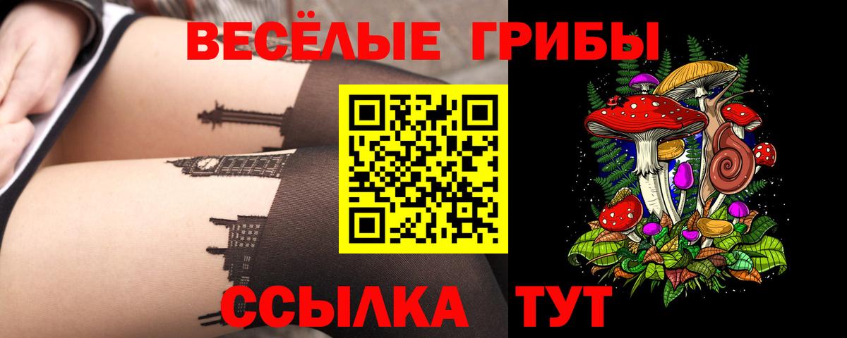 Галлюциногенные грибы Cubensis  Псилоцибиновые грибы мухоморы  Жуковский  магазин продажи   Вход с VPN 